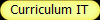 Curriculum IT